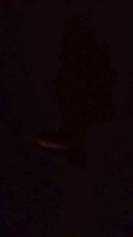 Lacoppia9679 webcam model stream image