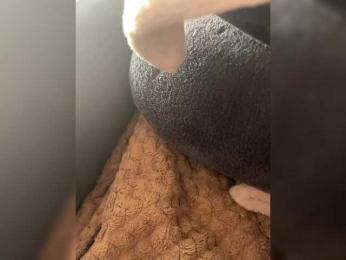 Anchelikaaa webcam model stream image