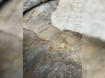 VolnaV webcam bongacams model stream image