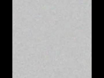 nitha_model webcam model stream image