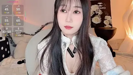 BoxedGyre- webcam model stream image