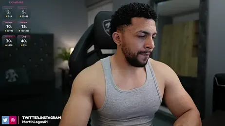 Martin_Logan webcam model stream image