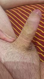 OMM1976 webcam model stream image