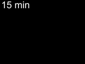 queenelia webcam chaturbate model stream image