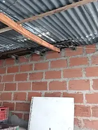 hoteder webcam model stream image