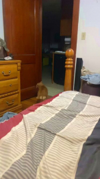 naughtycouple40 webcam model stream image