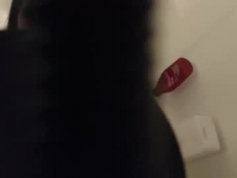 bambifarrina webcam model stream image