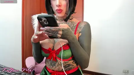 antoniaacxx webcam stripchat model stream image