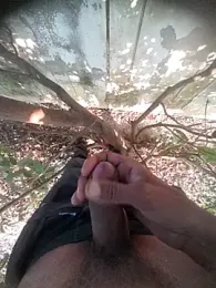 Desi_Horny_Boys webcam model stream image