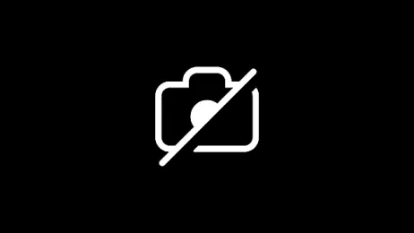 deepinnnnn webcam model stream image