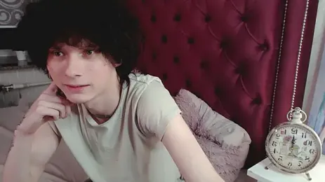 metlVV webcam model stream image