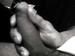 flexonaier webcam model stream image