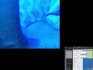 flexonaier webcam model stream image