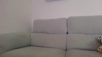 _play_ webcam model stream image