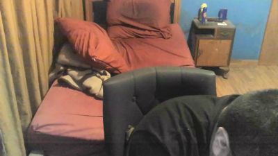 Nortumbria92 webcam model stream image