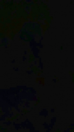 Picoletras webcam model stream image