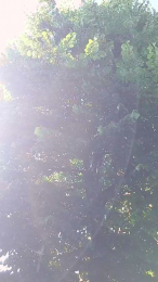 Salxxx webcam model stream image