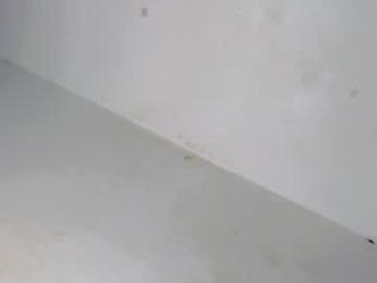 bigblack_barbie69 webcam chaturbate model stream image