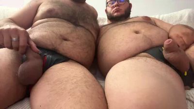 2_Bear webcam model stream image