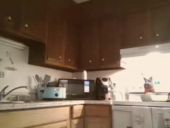 kcdowdy90 webcam model stream image