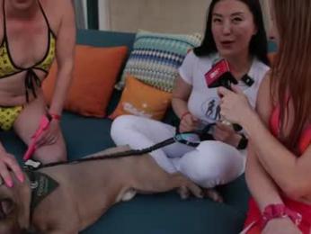 cb15 webcam chaturbate model stream image