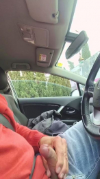 Paquete19 webcam model stream image