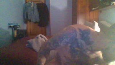 Punisher21cm webcam model stream image