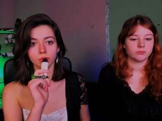 niri-vex webcam model stream image