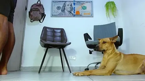 cash_master_daniel webcam model stream image