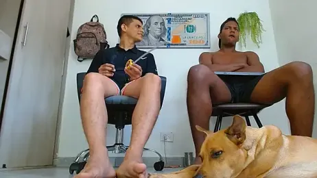 cash_master_daniel webcam model stream image