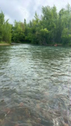 Laoquedad webcam model stream image