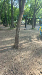 Laoquedad webcam model stream image