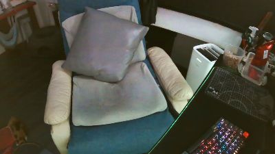 zeenfan webcam model stream image