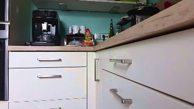 zippi2 webcam model stream image