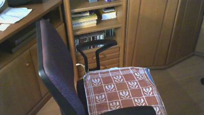 tamboro webcam model stream image