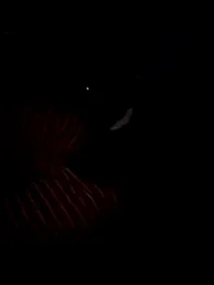 Bignc webcam model stream image