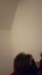 palindromo3 webcam model stream image