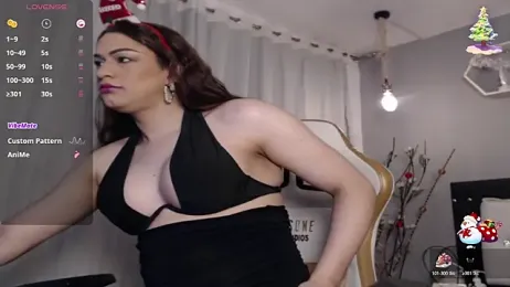 Meriiida webcam model stream image