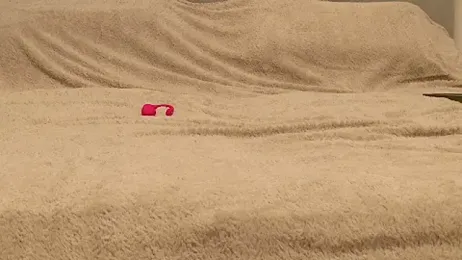 AnalCouple_Germany webcam model stream image