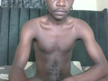 glane_ webcam model stream image