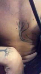 bcnxl2 webcam model stream image