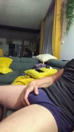 Roadtrip webcam model stream image