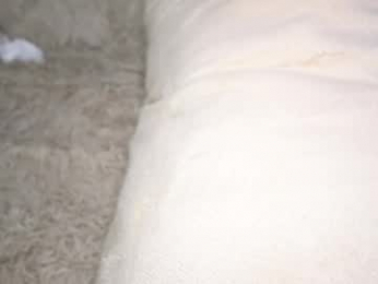 evafatcat webcam model stream image