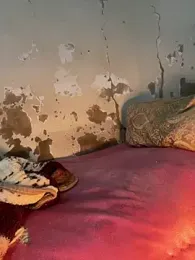 hrrounsb99 webcam model stream image