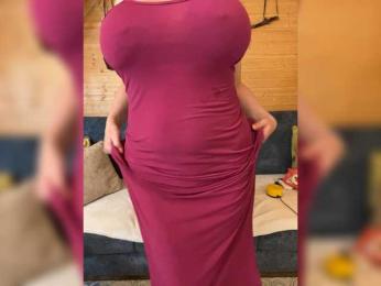Radda webcam model stream image