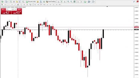 Trading_business webcam model stream image