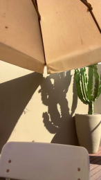 Betomuscle99 webcam model stream image