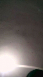 anny074 webcam model stream image