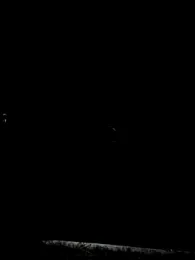 Dixiefaye_ webcam model stream image