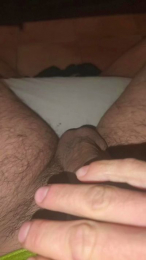 Gallumbero2 webcam model stream image